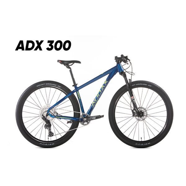 Audax 300 1