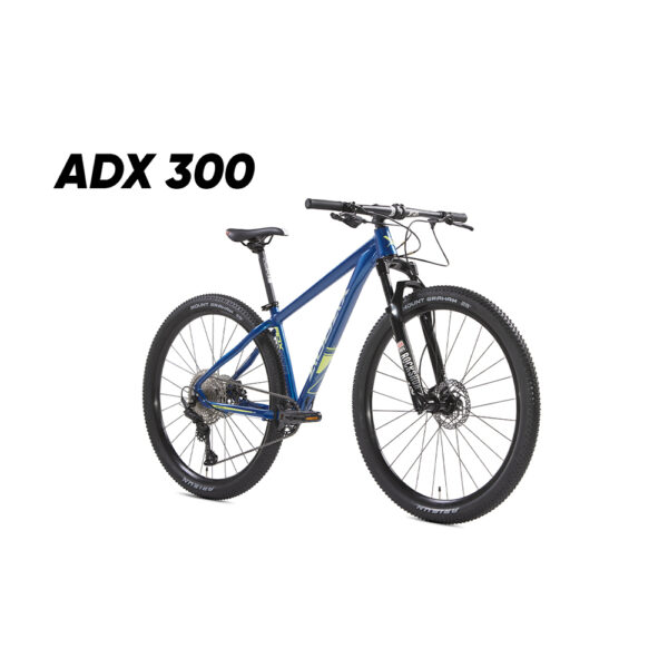 Audax 300 2